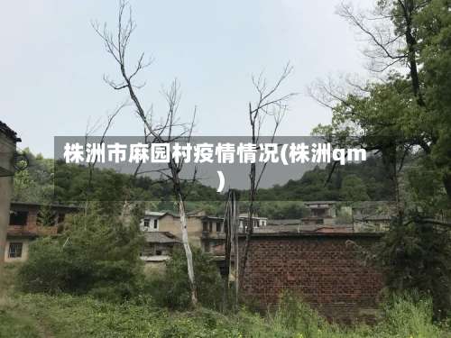 株洲市麻园村疫情情况(株洲qm)-第1张图片