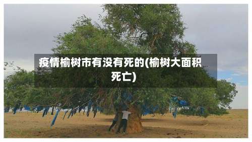 疫情榆树市有没有死的(榆树大面积死亡)-第1张图片