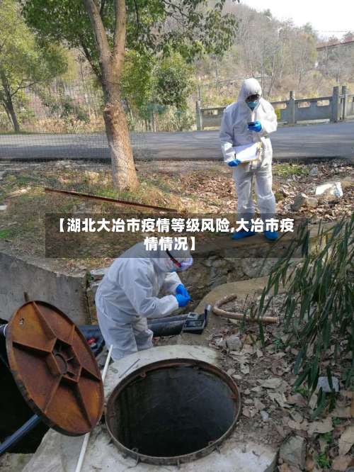 【湖北大冶市疫情等级风险,大冶市疫情情况】-第2张图片