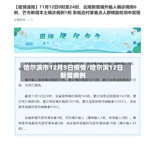 哈尔滨市12月5日疫情/哈尔滨12日新增病例-第2张图片