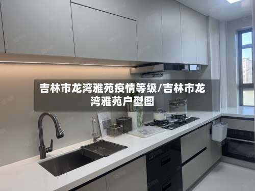 吉林市龙湾雅苑疫情等级/吉林市龙湾雅苑户型图-第1张图片