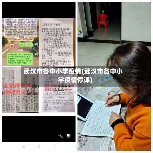武汉市各中小学疫情(武汉市各中小学疫情停课)-第2张图片