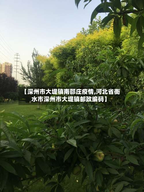 【深州市大堤镇南邵庄疫情,河北省衡水市深州市大堤镇邮政编码】-第1张图片