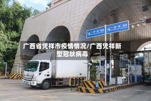 广西省凭祥市疫情情况/广西凭祥新型冠状病毒-第3张图片