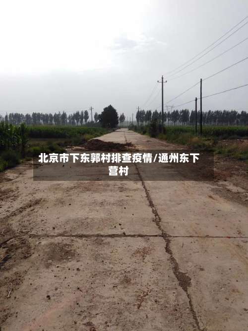 北京市下东郭村排查疫情/通州东下营村-第2张图片