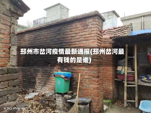 邳州市岔河疫情最新通报(邳州岔河最有钱的是谁)-第2张图片