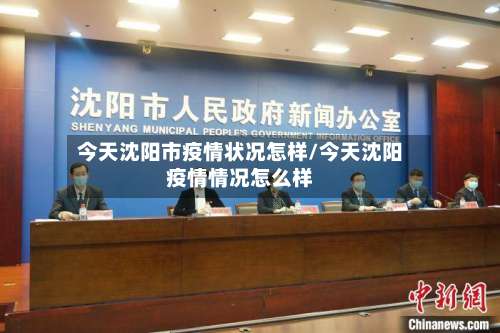 今天沈阳市疫情状况怎样/今天沈阳疫情情况怎么样-第3张图片