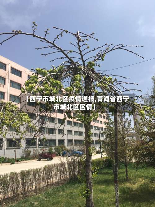 【西宁市城北区疫情通报,青海省西宁市城北区区情】-第2张图片