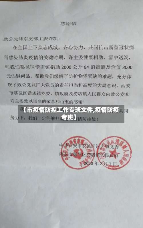 【市疫情防控工作专班文件,疫情防疫专班】-第2张图片
