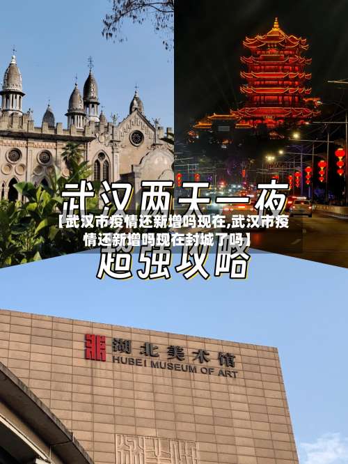 【武汉市疫情还新增吗现在,武汉市疫情还新增吗现在封城了吗】-第1张图片