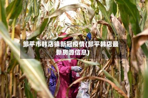 邹平市韩店镇新冠疫情(邹平韩店最新房源信息)-第1张图片