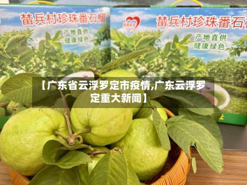 【广东省云浮罗定市疫情,广东云浮罗定重大新闻】-第2张图片
