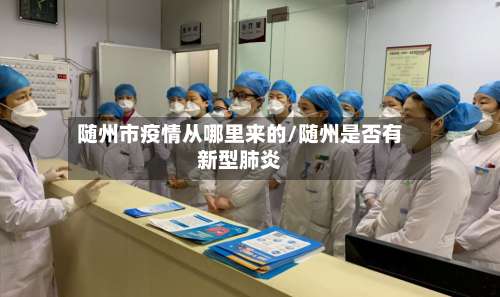 随州市疫情从哪里来的/随州是否有新型肺炎-第2张图片